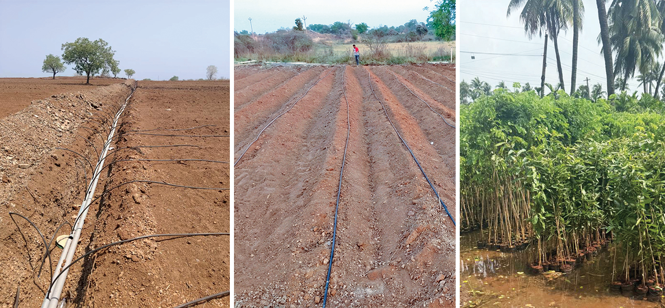 Making baren to green forest; 50,000 trees plantation (ongoing) at Pusad, Maharashtra